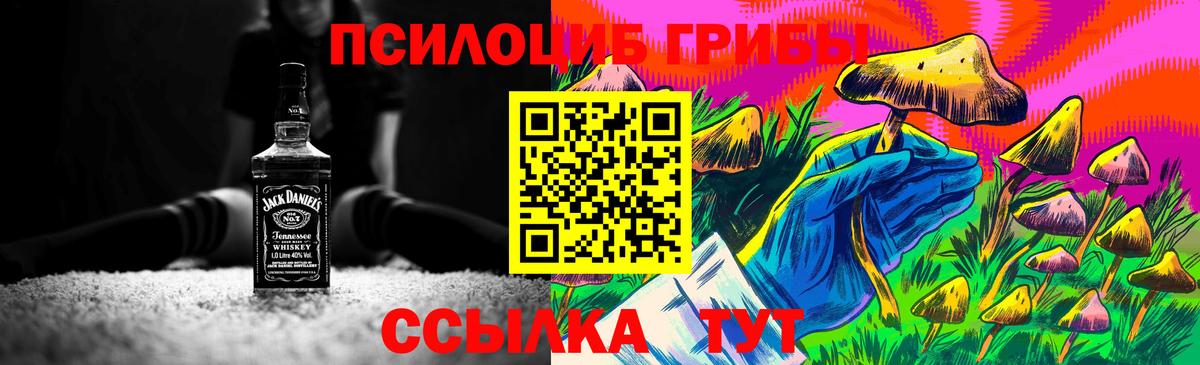 Галлюциногенные грибы Psilocybine cubensis  Псилоцибиновые грибы Magic Shrooms  Качканар  Вход с VPN 