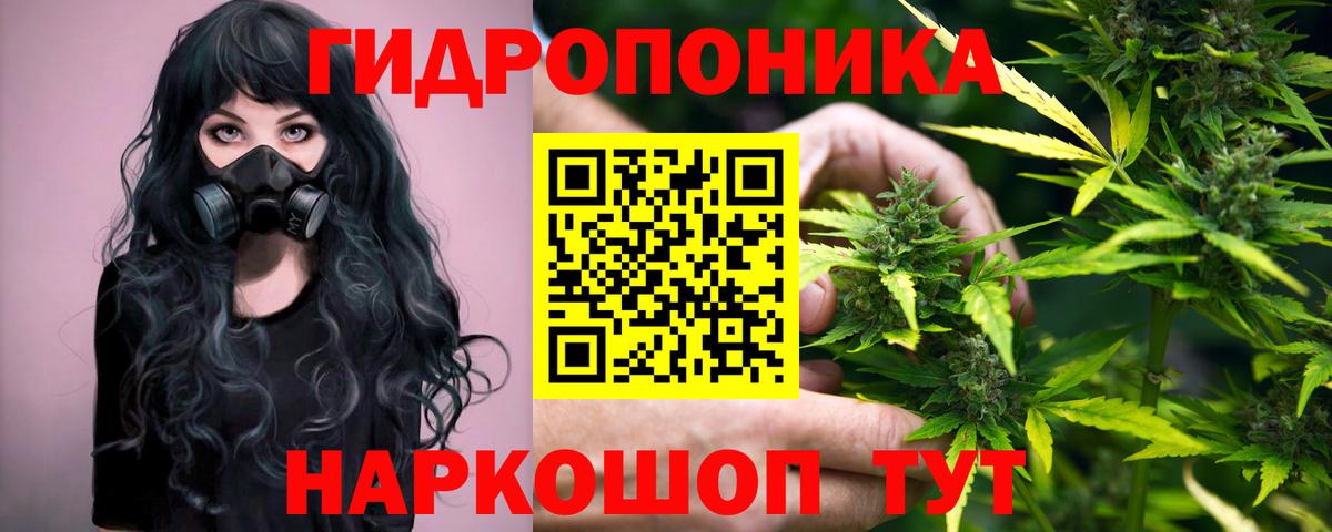 Шишки марихуана марихуана  Шишки марихуана VHQ  Вход с VPN  Качканар  МАРИХУАНА White Widow 